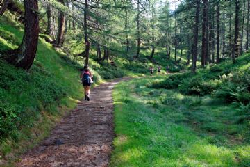 Avviso pubblico rivolto ai proprietari di boschi e terreni situati lungo il tracciato dei percorsi ciclopedonali del Parco del Ticino