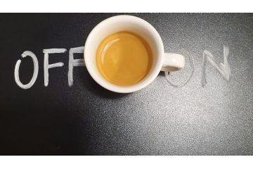 Foto presa dal sito web